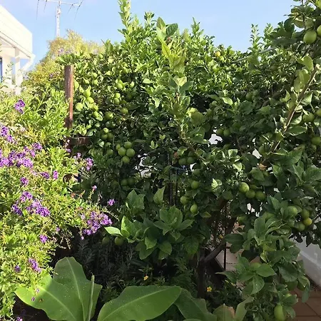 Penthouse In Oceanfront - Next To The Apartamento *