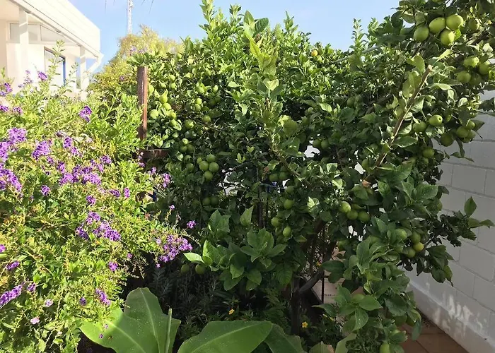 Penthouse In Oceanfront - Next To The Apartamento *